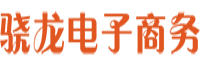 骁龙电子商务
